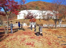 11월 14일 천보초등학교 [소리담아 드로잉] 현장스케치 이미지