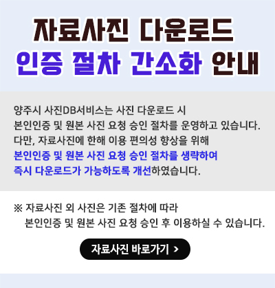 자료사진 다운로드 인증 절차 간소화 안내