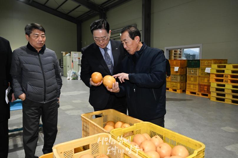 양주배영농조합법인 공동선별장 방문 의 사진