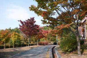 양주 독바위공원 사진
