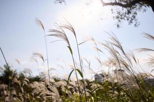 양주 독바위공원 의 사진
