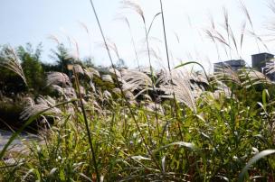 양주 독바위공원 의 사진