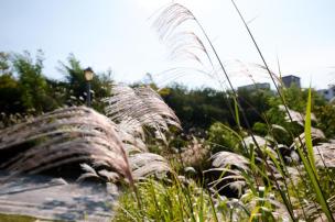 양주 독바위공원 의 사진