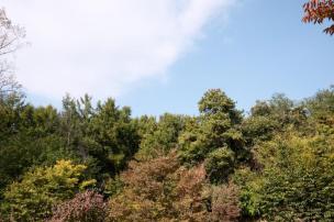 양주 독바위공원 의 사진