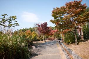 양주 독바위공원 의 사진