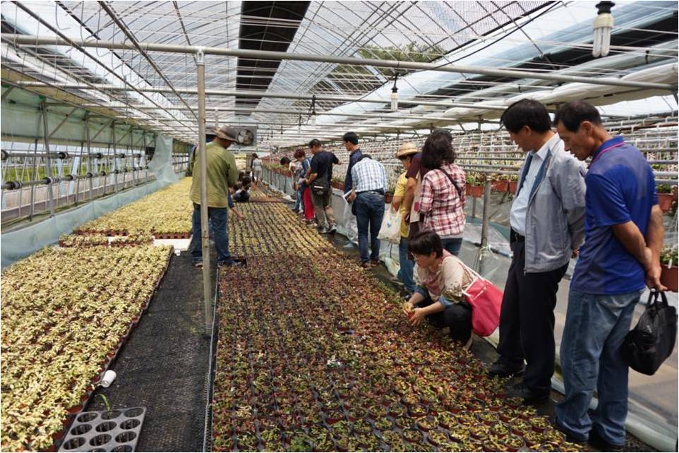 2015 강소농 경영개선실천 후속교육(3차) 이미지