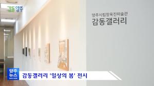 감동갤러리 <일상의 봄> 전시 보도자료 이미지