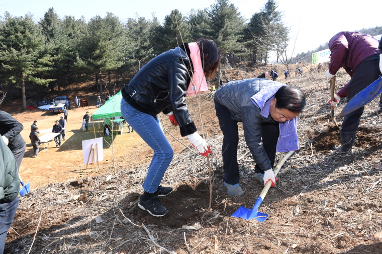 제74회 식목일 나무심기 행사 이미지3