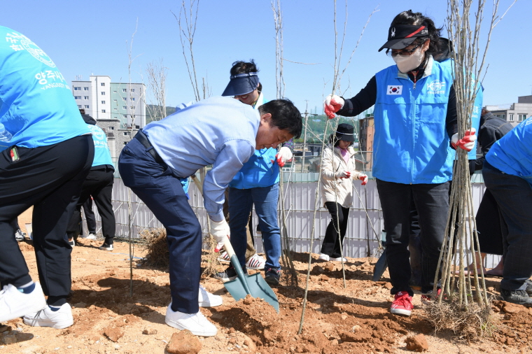 한국자유총연맹 양주시지회 식목행사 이미지4