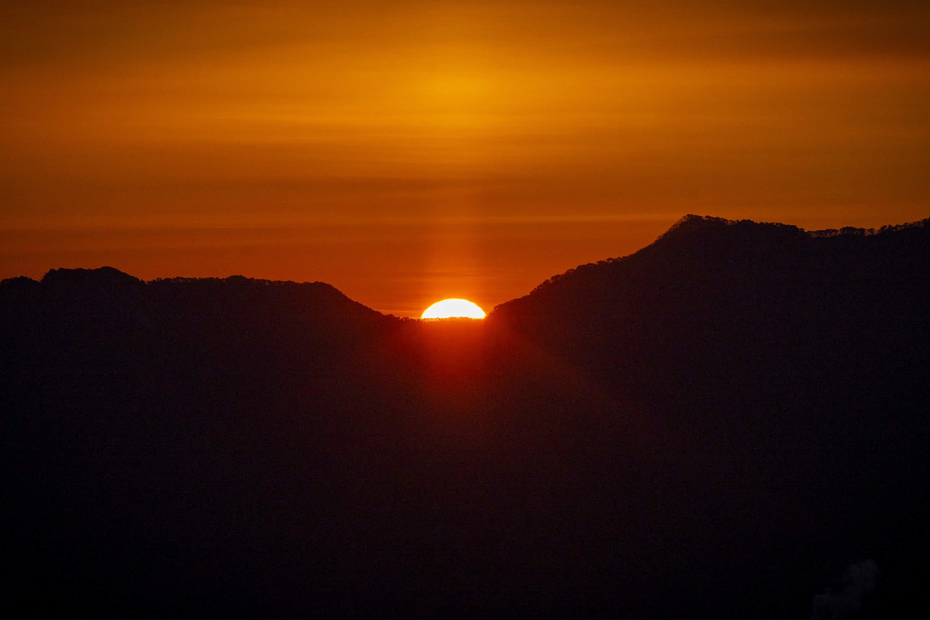 2026년 장흥면 신년 해맞이 행사 이미지2