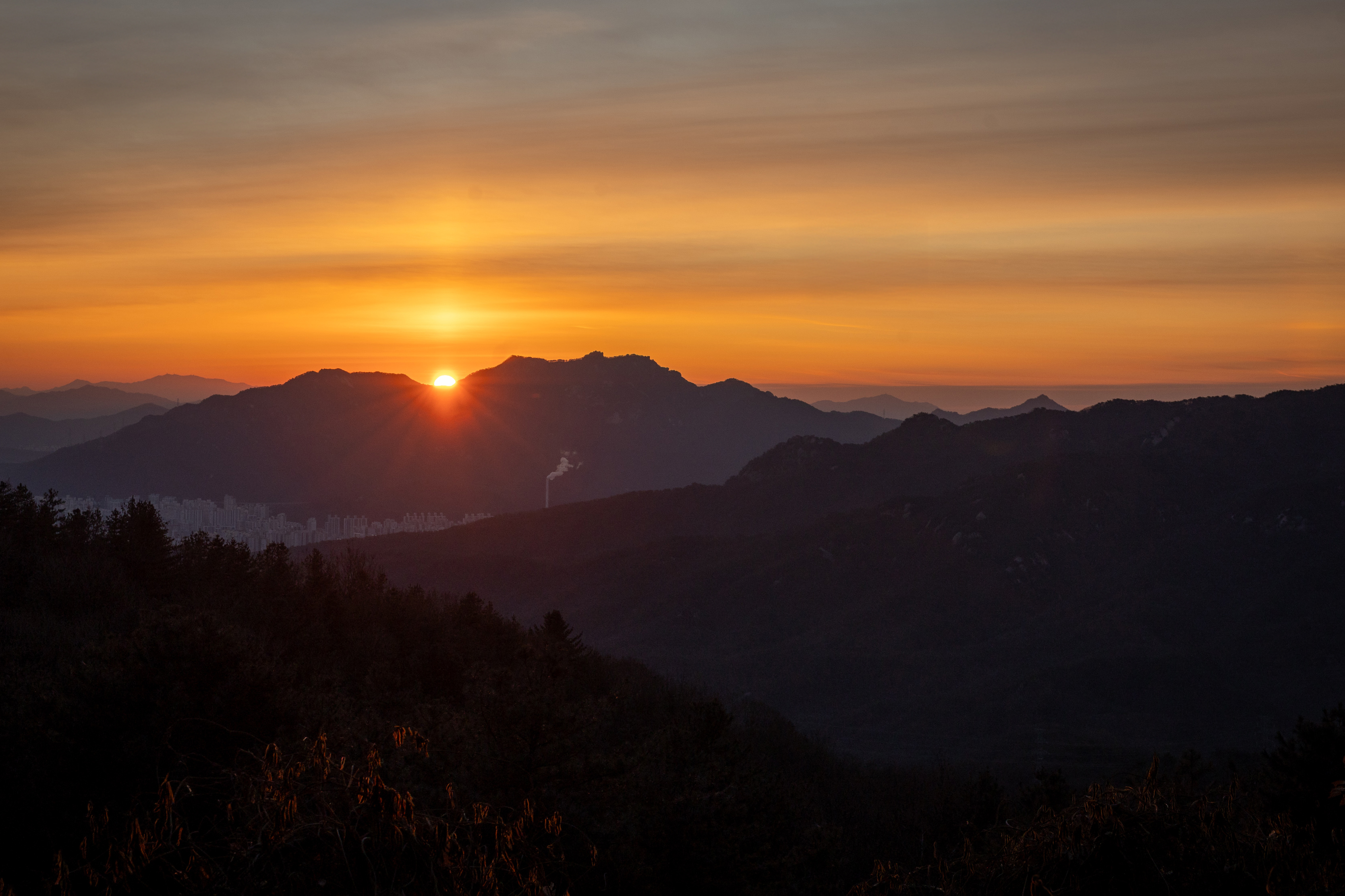 2026년 장흥면 신년 해맞이 행사 이미지3