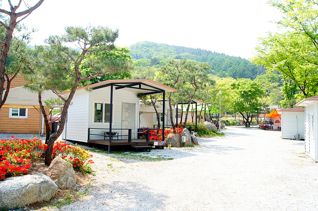 장흥수목원캠핑장 6