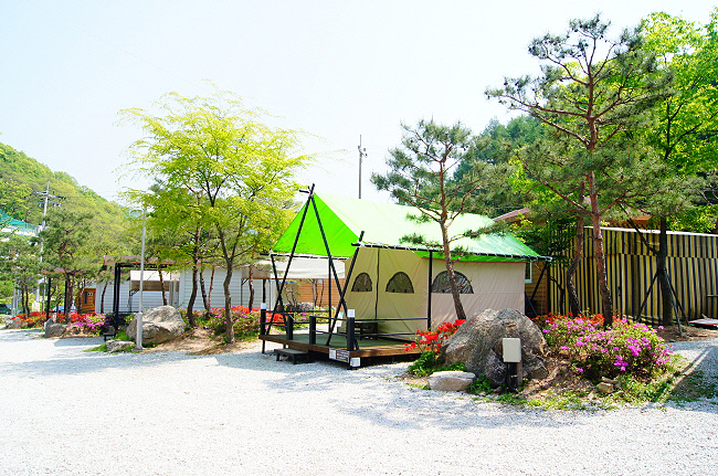 장흥수목원캠핑장 7