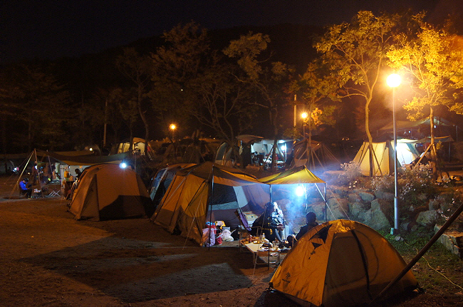 장흥수목원캠핑장 3