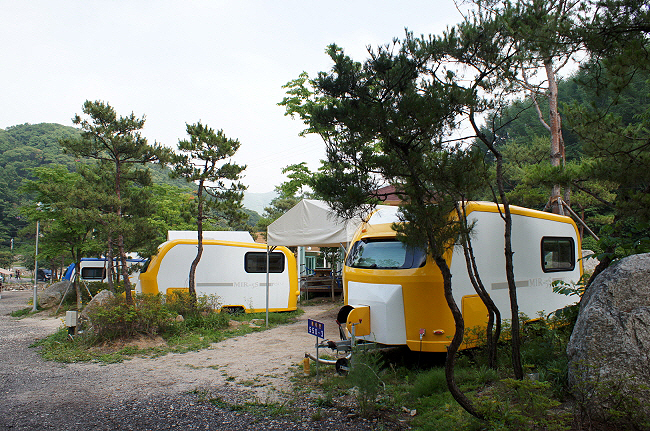 장흥수목원캠핑장 4