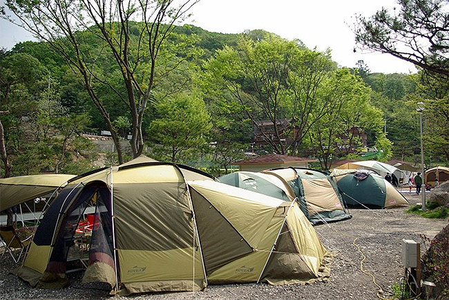 장흥수목원캠핑장 5