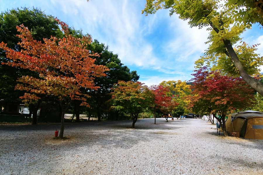 양주송천캠핑장 1