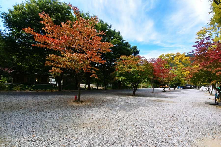 양주송천캠핑장 4