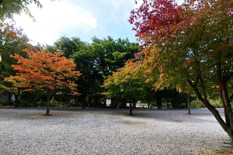 양주송천캠핑장 3