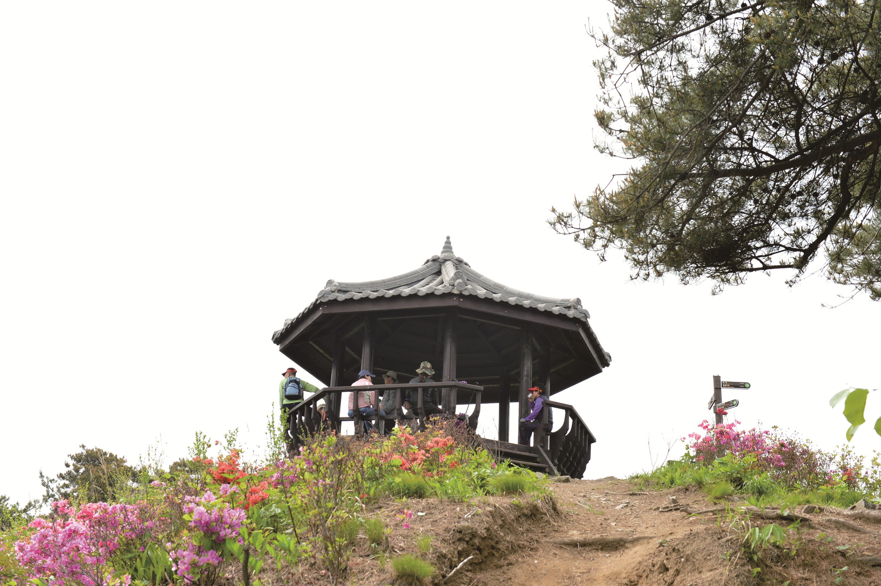 전설 따라 걷는 은봉산(한강봉) 1