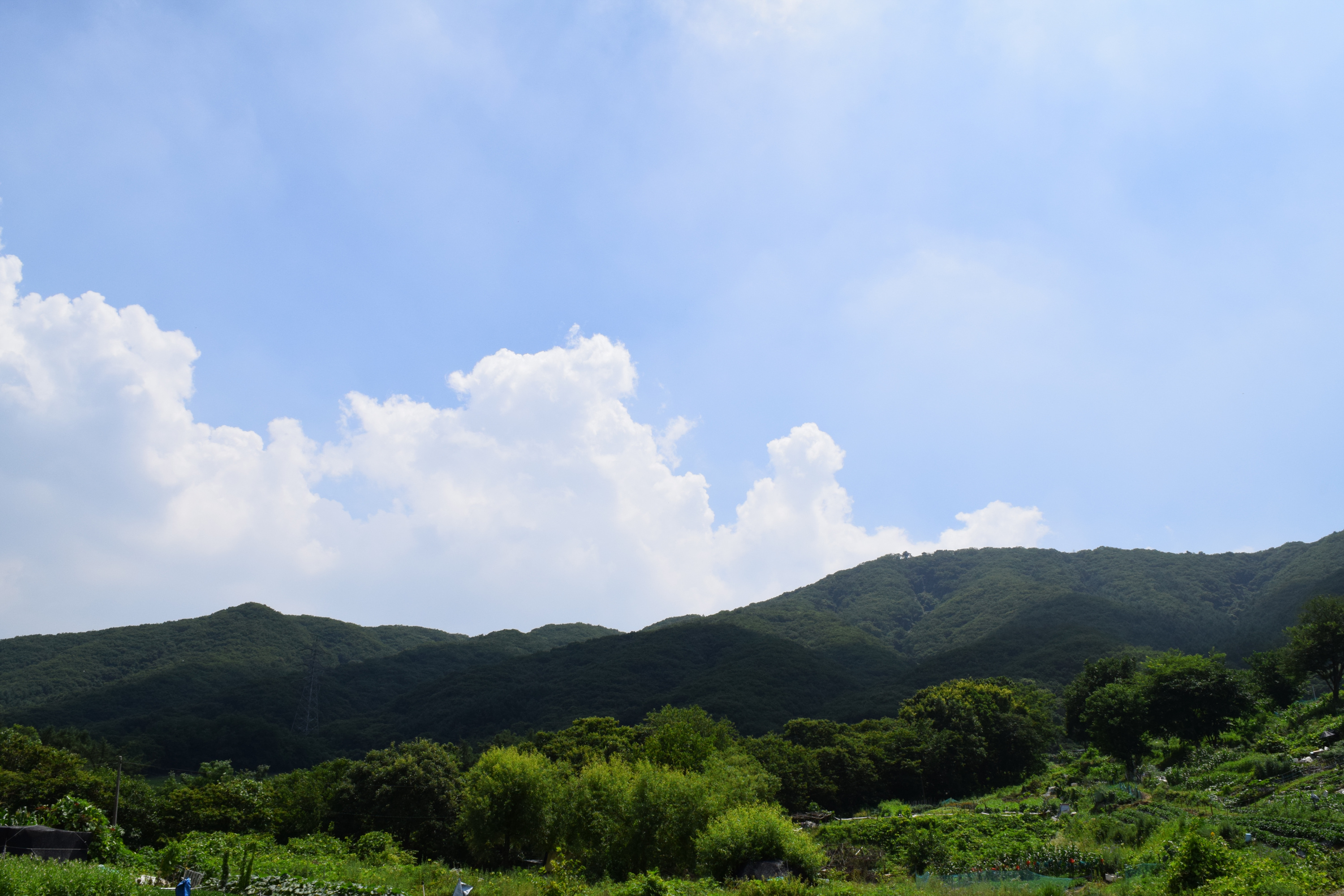 전설 따라 걷는 은봉산(한강봉) 7