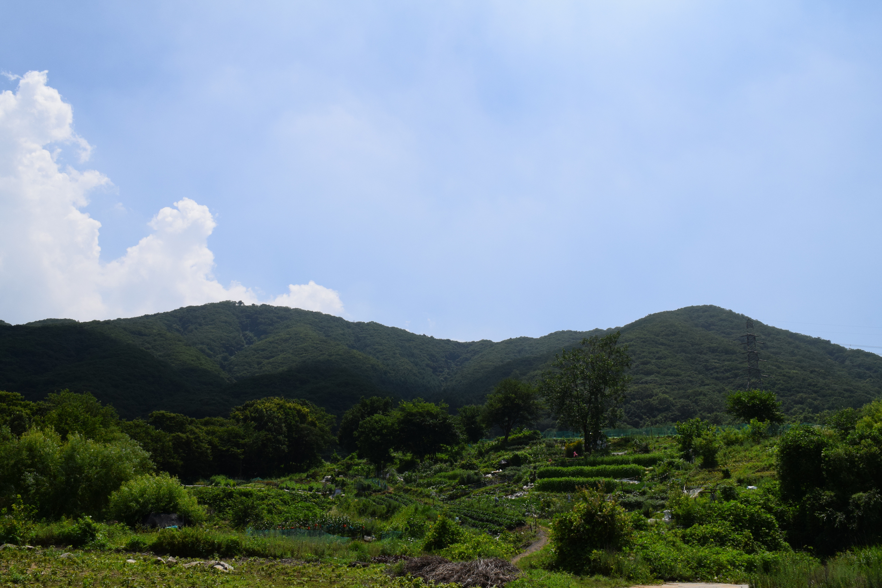 전설 따라 걷는 은봉산(한강봉) 8