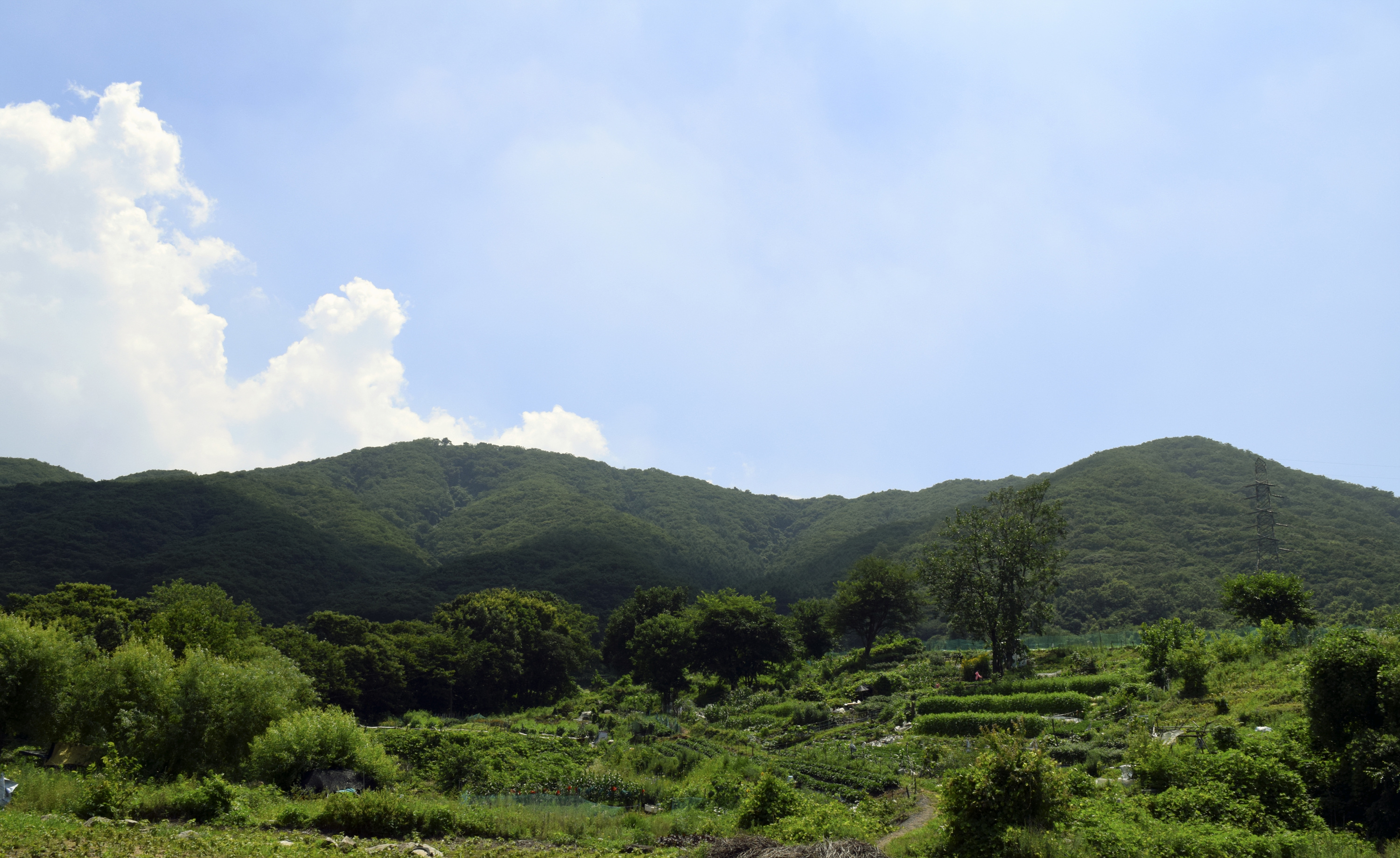 전설 따라 걷는 은봉산(한강봉) 9