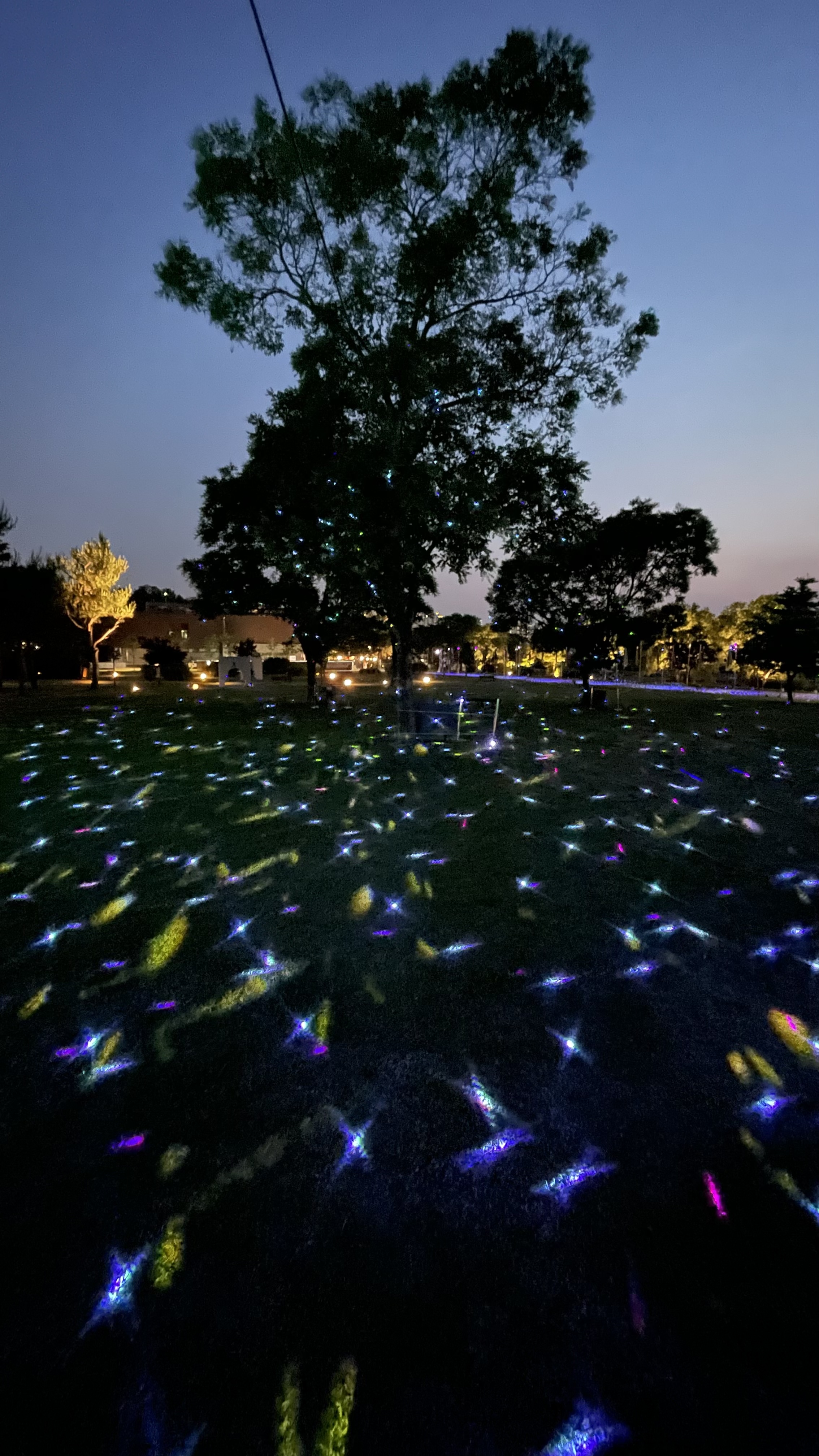 양주 회암사지 왕실축제 연계 미디어퍼포먼스 전시 <2025 회암사:Re> 이미지4