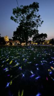 양주 회암사지 왕실축제 연계 미디어퍼포먼스 전시 <2025 회암사:Re> 이미지4