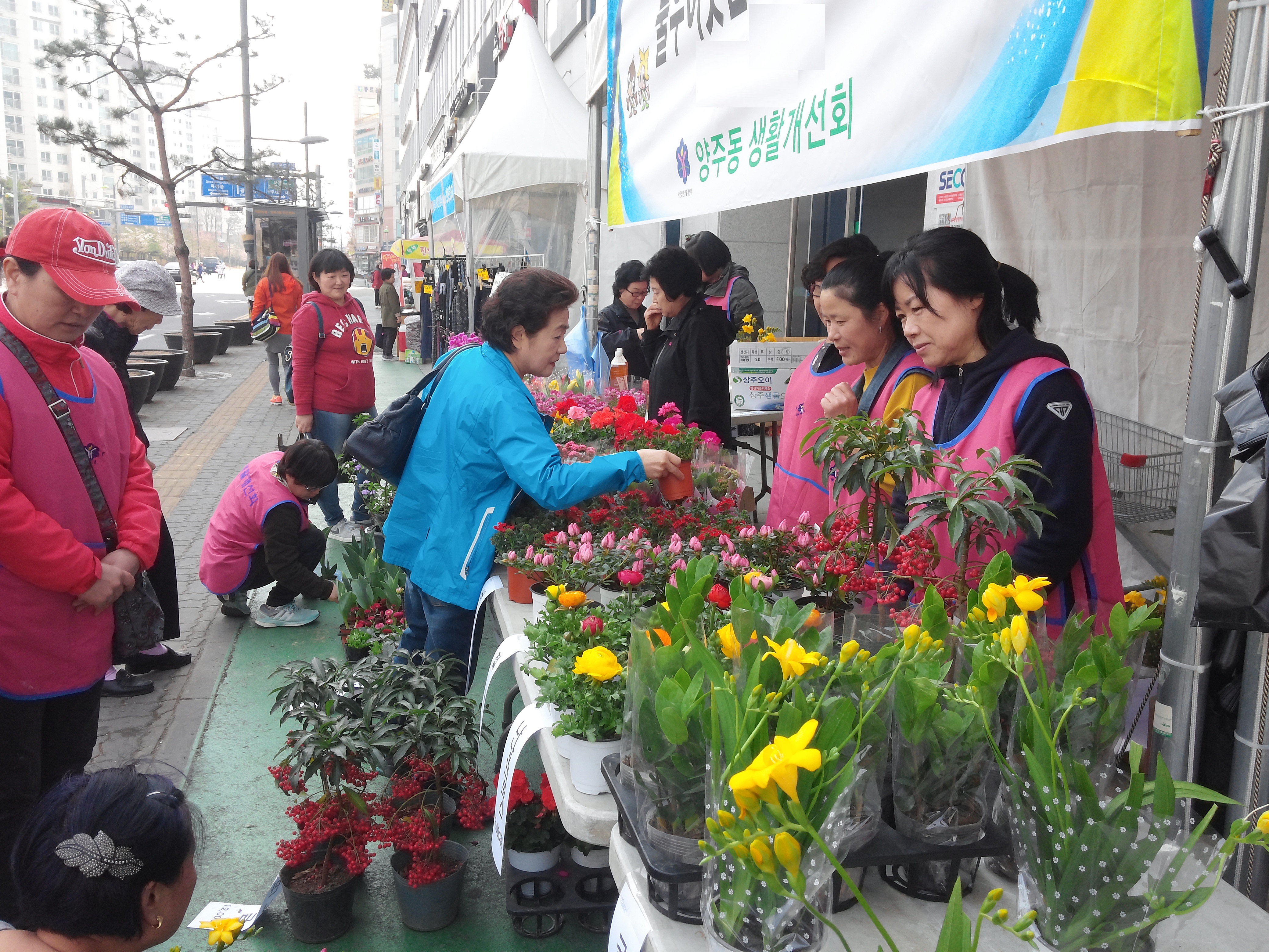 한국생활개선양주시연합회, 불우이웃 돕기 화훼 직거래 판매 이미지