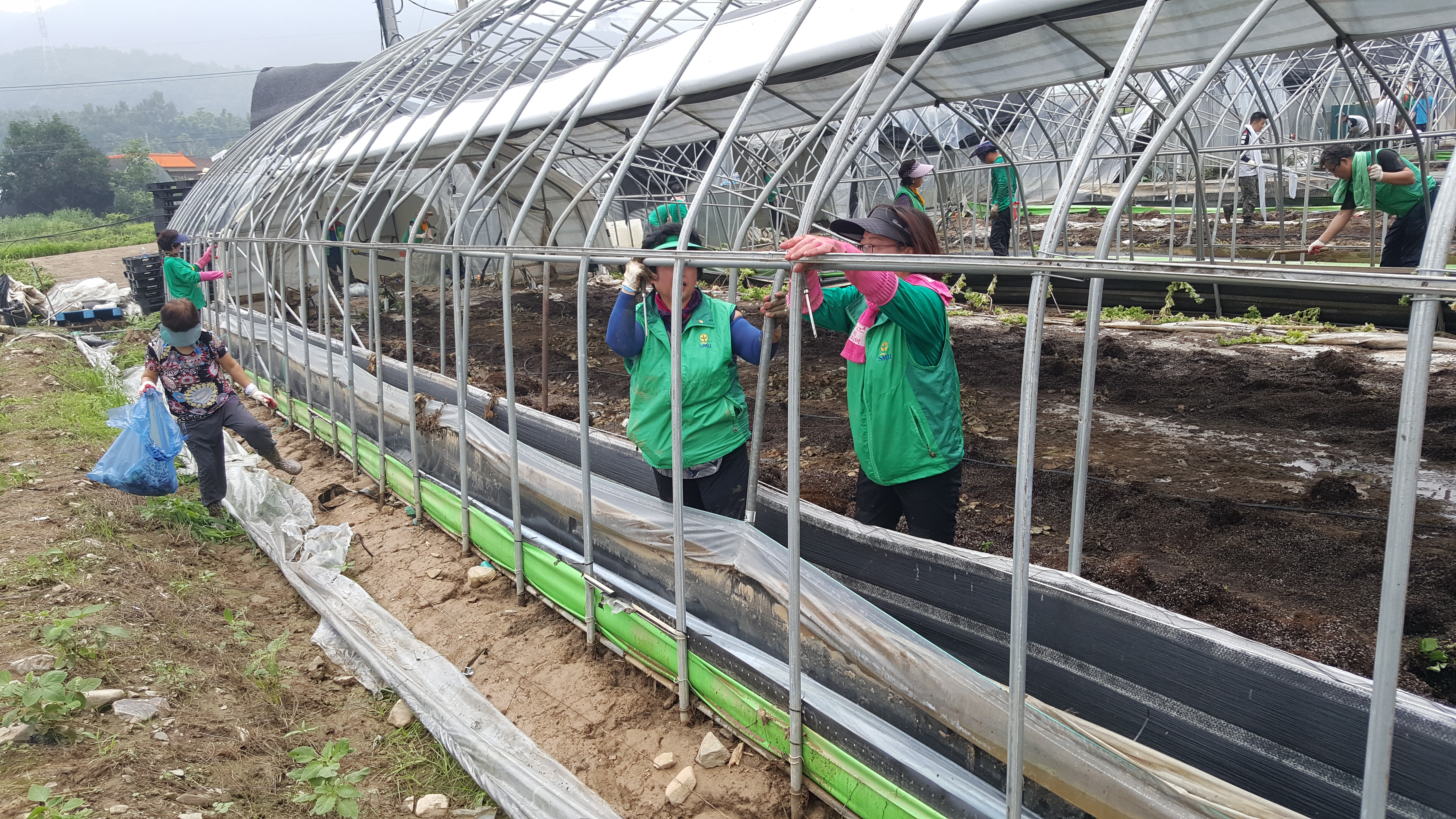 새마을운동 양주시지회, 청주 수해복구 봉사활동 이미지