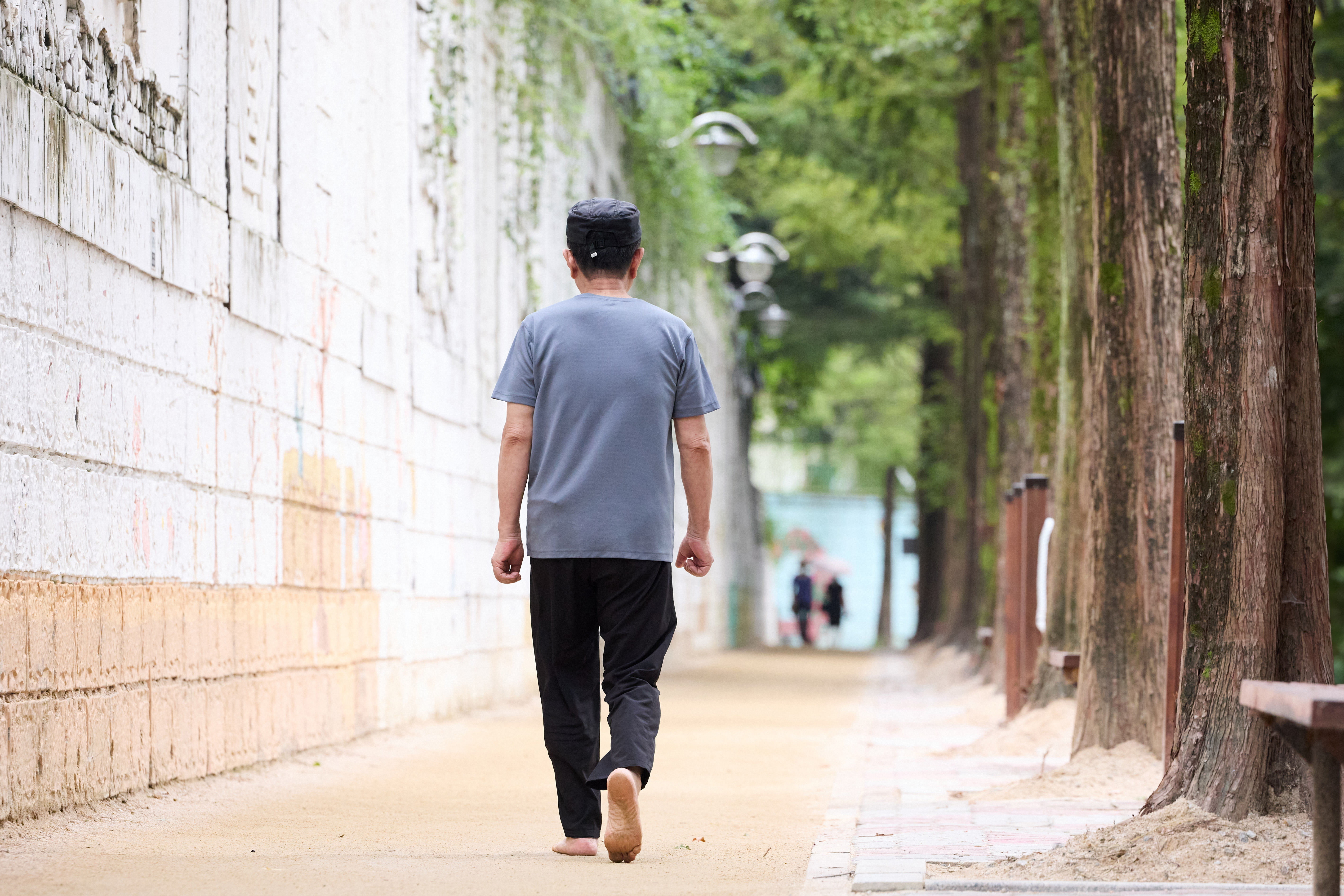 [포토] “맨발로 즐기는 메타쉐콰이어길” 이미지