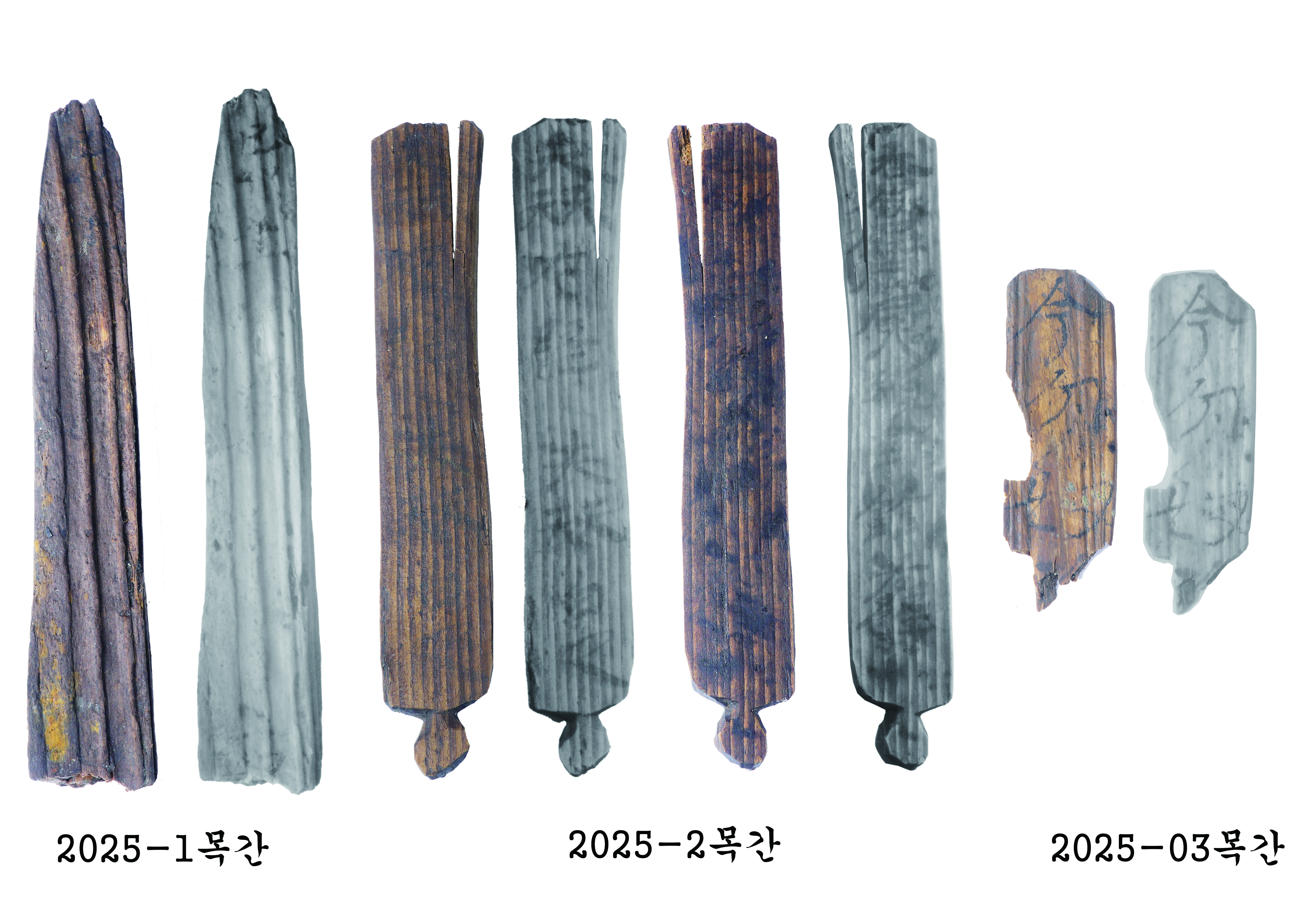 양주 대모산성, 지난해에 이어 국내 가장 오래된(最古) 목간 출토 이미지
