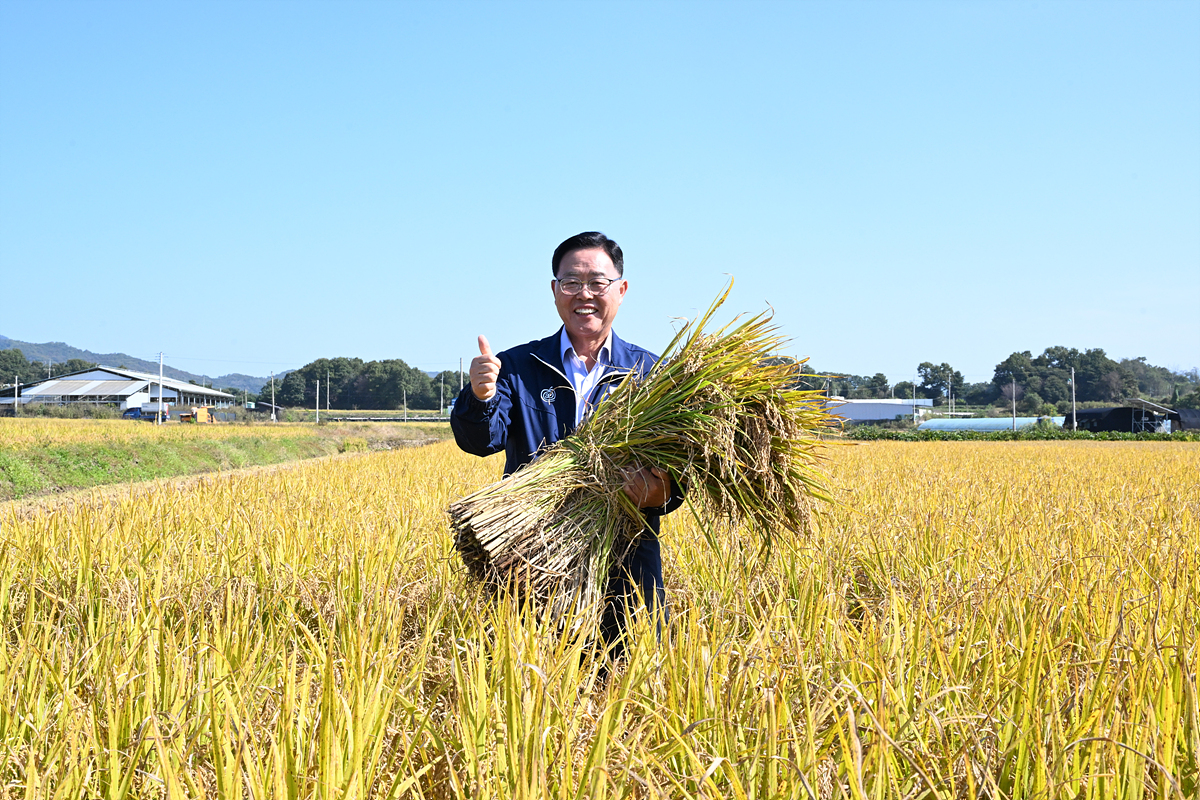 2023-10-11 남면 한산뜰 벼베기 이미지