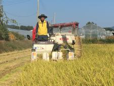 고품질양주쌀 생산을 위한 벼베기 시연회 이미지