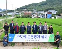 240716-드론 수도작 공동방제 이미지