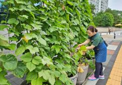 찾아가는 도시농업 매니저 서비스(도시농업 사업장 현장지원) 이미지