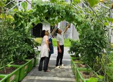 찾아가는 반려식물 상담서비스 운영 이미지