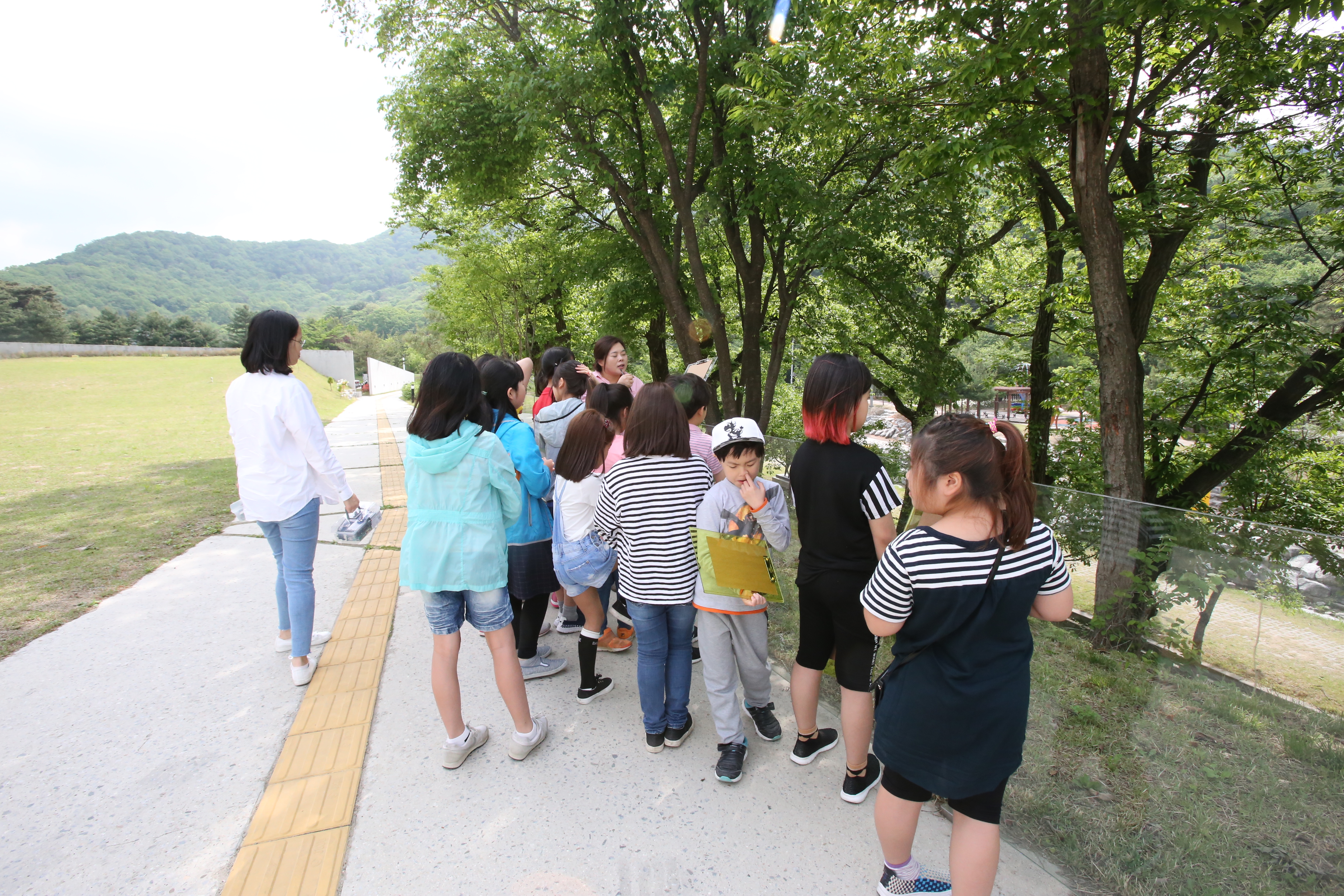 5월 16일 효촌초등학교 &#39;장욱진과 나무&#39; 교육 이미지