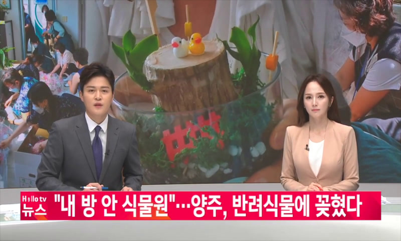 내 방 안 식물원... 양주, 반려식물에 꽂혔다 이미지