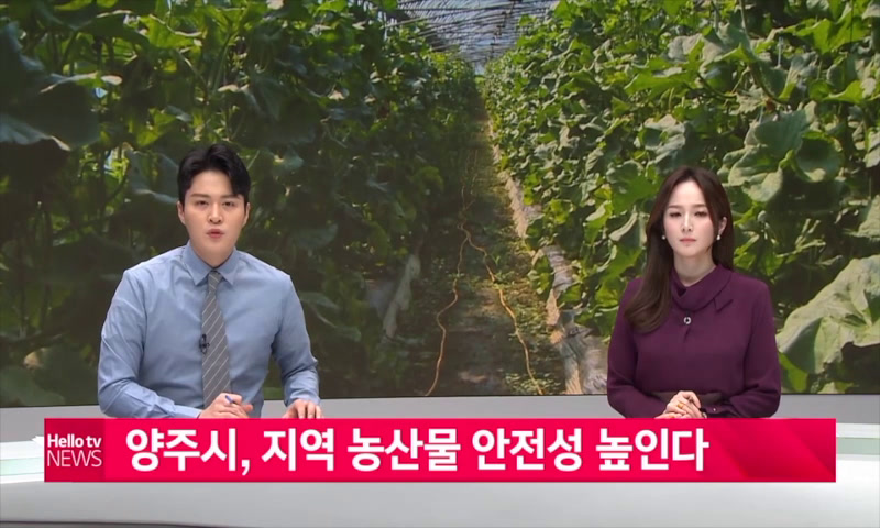 20220112_나라_지역 농산물 안전성 높인다 이미지