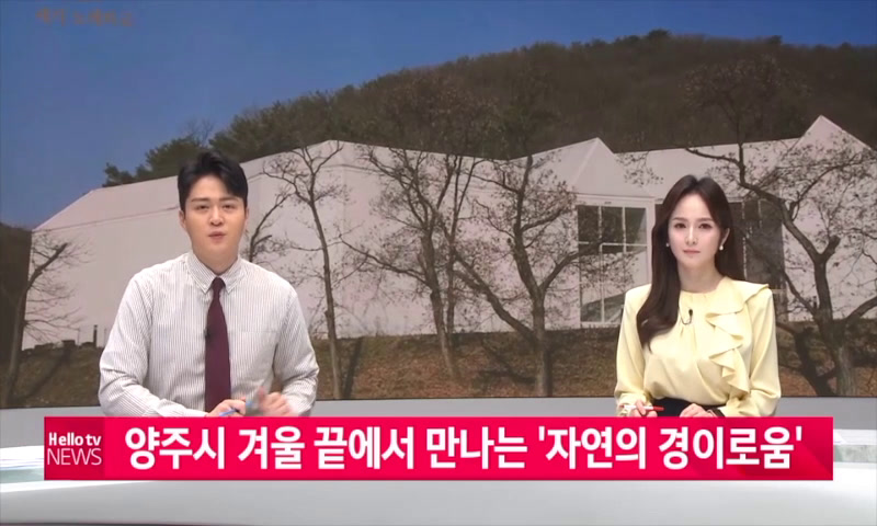 양주시 겨울 끝에서 만나는 '자연의 경이로움' 이미지