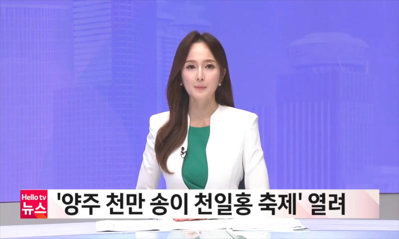 양주 천일홍 축제 열려 이미지