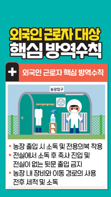 외국인 근로자 대상 핵심 방역수칙
- 농장 출입 시 소독 및 전용의복 착용
- 전실에서 소독 후 축사 진입 및 전실이 없는 뒷문 출입 금지
- 농장 내 장비와 이동 경로의 사용 전후 세척 및 소독
