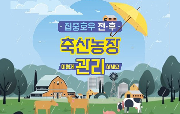집중호우 전후 축산농가 관리