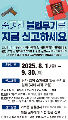 2025년 2차 불법무기 포스터