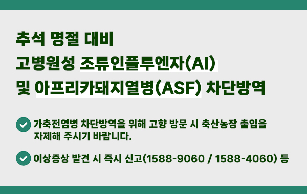 추석 명절 대비 고병원성 조류인플루엔자 및 아프리카돼지열병 방역