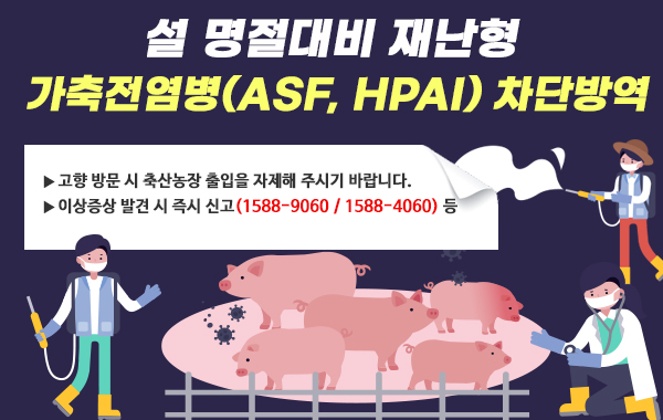설 명절대비 재난형 가축전염병(ASF, HPAI) 차단방역