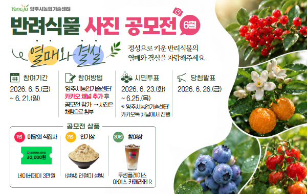 Yangju 양주시농업기술센터 반려식물 사진 공모전 6월. 열매와 결실. 정성으로 키운 반려식물의 열매와 결실을 자랑해주세요. 참여기간: 2026.6.5.(금) ~ 6. 21.(일) 참여방법: 양주시농업기술센터 카카오 채널 추가 후 공모전 참가 → 사진은 채팅으로 첨부. 시민투표: 2026. 6. 23.(화) ~ 6.25.(목) ※ 양주시농업기술센터 카카오톡 채널에서 진행. 당첨발표: 2026.6.26.(금) 공모전 상품: 1명 이달의 식집사 네이버페이 포인트 3만원. 2명 인기상 (설빙) 인절미 설빙. 30명 참여상 투썸플레이스 아이스 카페라떼 R
