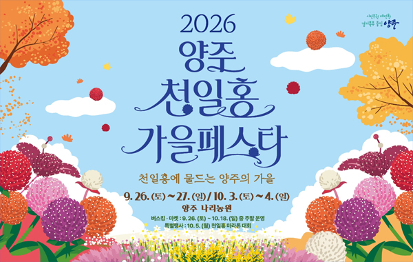 천일홍 가을페스타